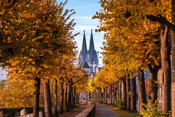 Steuerberater in Köln